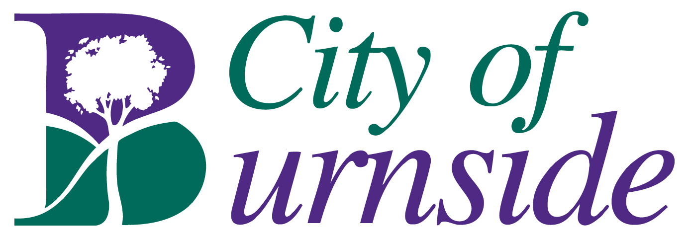 council logo